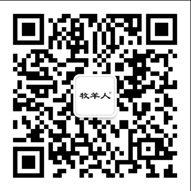 我的網(wǎng)站名稱(chēng)